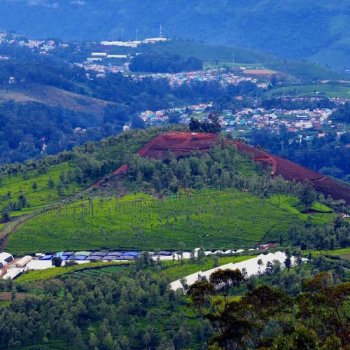 Ooty Tour Packages
